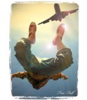 Free Fall